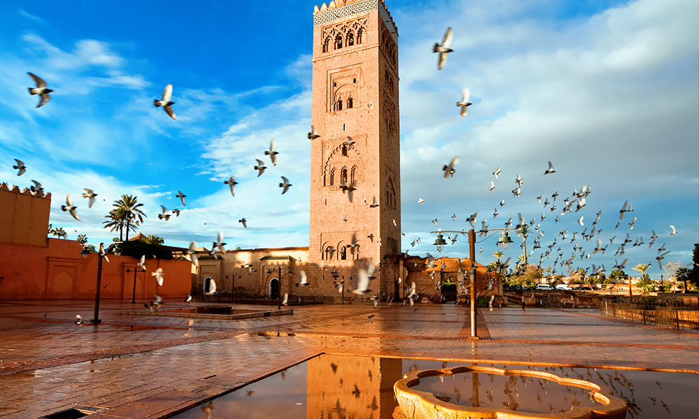What to Book Before You Arrive in Marrakech