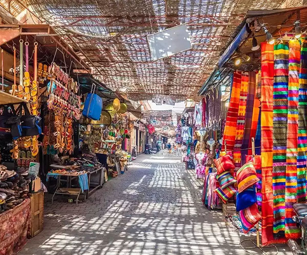 Marrakech Medina Guided Tour